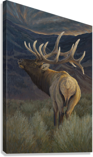 Giclée Stretched Canvas Print