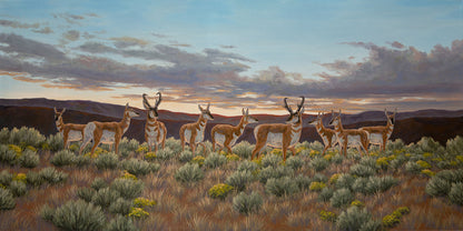 "Pronghorn Country" Premium Giclée - Gentry Scott Wildlife & Fine Art