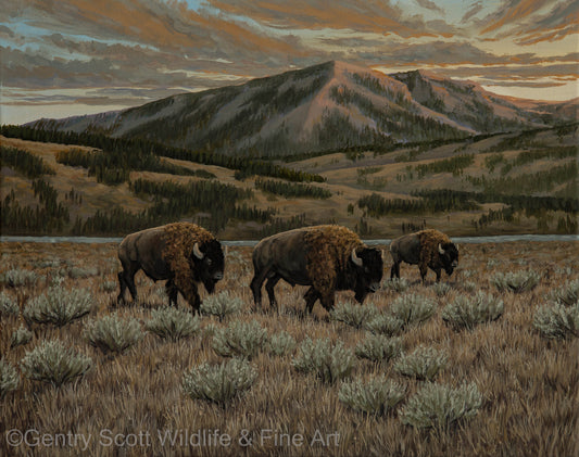 "Evening March" Standard Giclée - Gentry Scott Wildlife & Fine Art