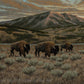 "Evening March" Premium Giclée - Gentry Scott Wildlife & Fine Art