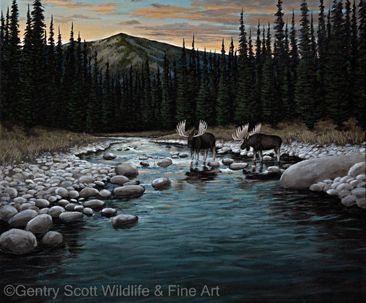 "Evening Cascades" Standard Giclée - Gentry Scott Wildlife & Fine Art