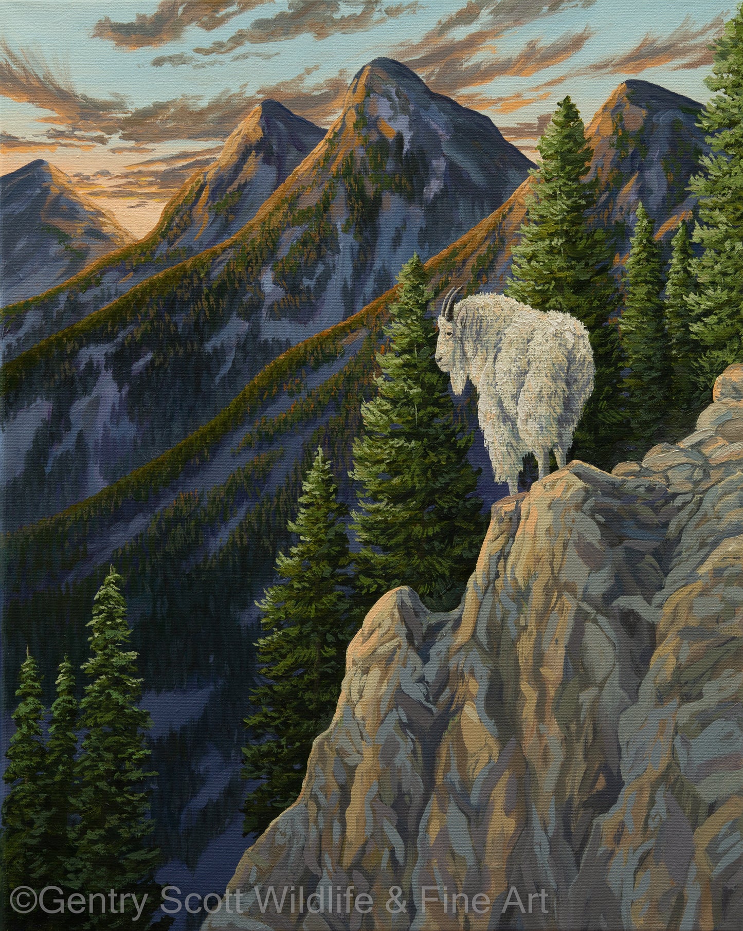 "Mountain Top" Standard Giclée - Gentry Scott Wildlife & Fine Art