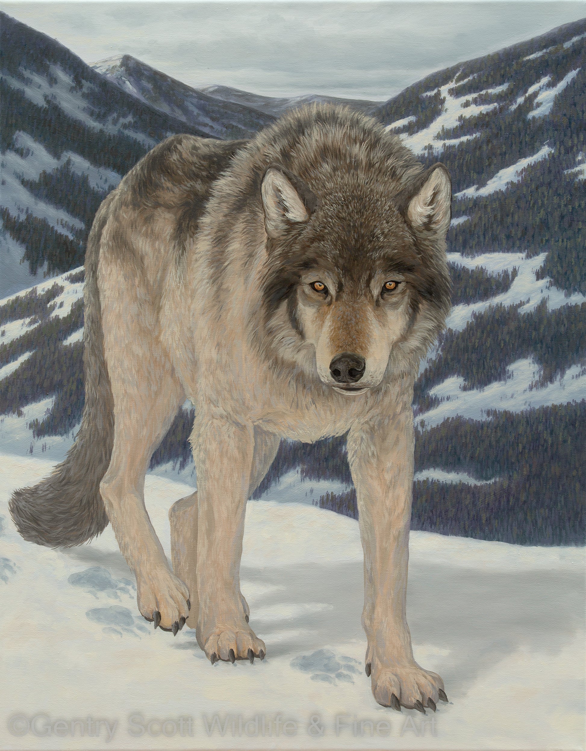 "On the Hunt" Standard Giclée - Gentry Scott Wildlife & Fine Art