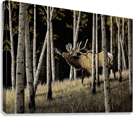 "Bugles Through the Aspens" Premium Giclée - Gentry Scott Wildlife & Fine Art