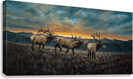 "Sunset Ridge Calls" Premium Giclée - Gentry Scott Wildlife & Fine Art