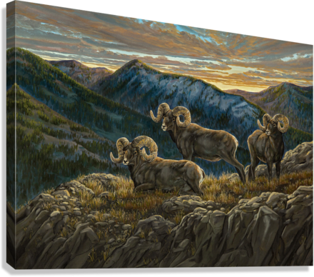 "High Country" Premium Giclée - Gentry Scott Wildlife & Fine Art