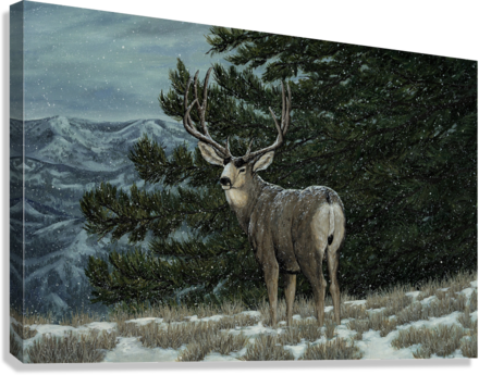 "The First Snowfall" Premium Giclée - Gentry Scott Wildlife & Fine Art