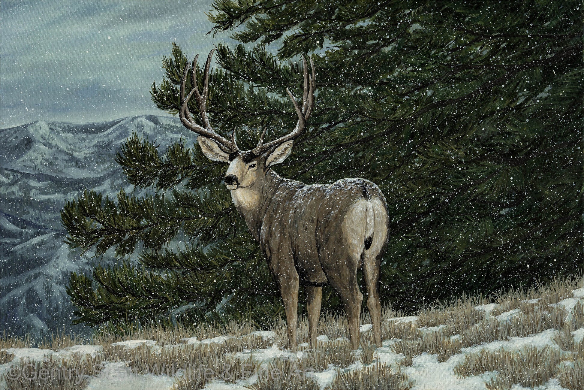 "The First Snowfall" Premium Giclée - Gentry Scott Wildlife & Fine Art