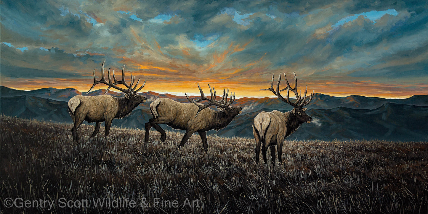 "Sunset Ridge Calls" Standard Giclée - Gentry Scott Wildlife & Fine Art