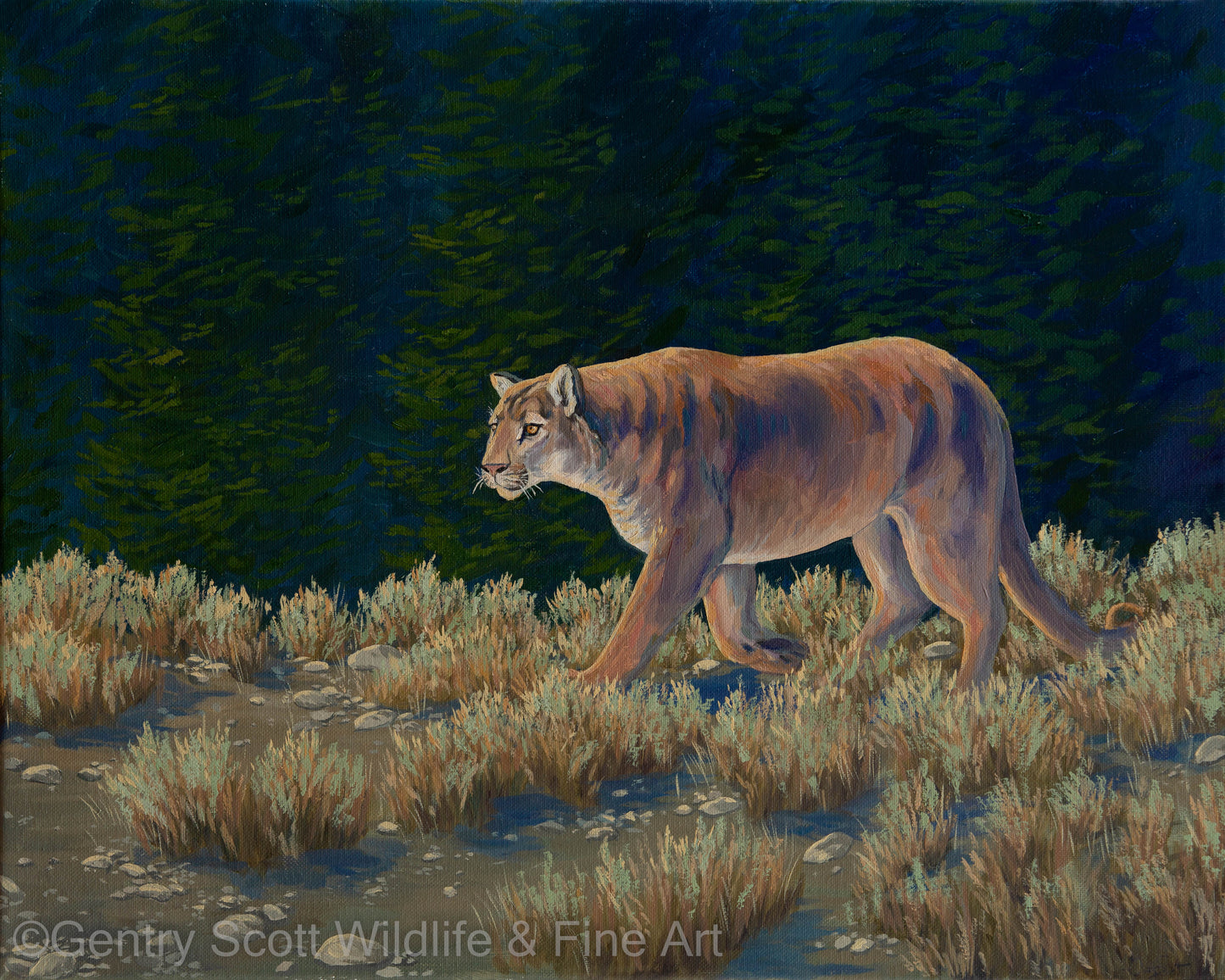 "In Pursuit" Standard Giclée - Gentry Scott Wildlife & Fine Art