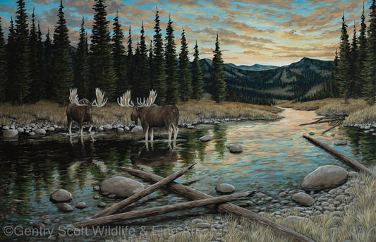 "Through the Pines" Standard Giclée - Gentry Scott Wildlife & Fine Art