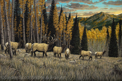 "Autumn Glow" Standard Giclée - Gentry Scott Wildlife & Fine Art