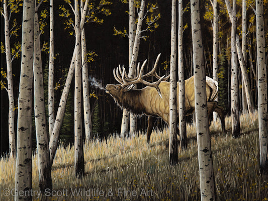 "Bugles Through the Aspens" Premium Giclée - Gentry Scott Wildlife & Fine Art