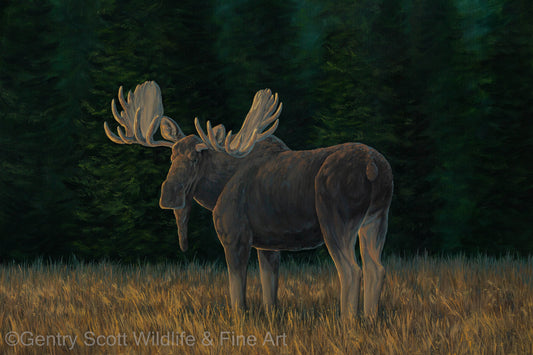 "Last Glance" Standard Giclée - Gentry Scott Wildlife & Fine Art