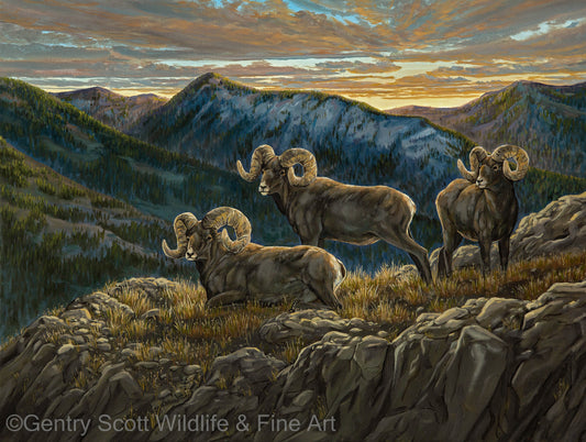 "High Country" Standard Giclée - Gentry Scott Wildlife & Fine Art